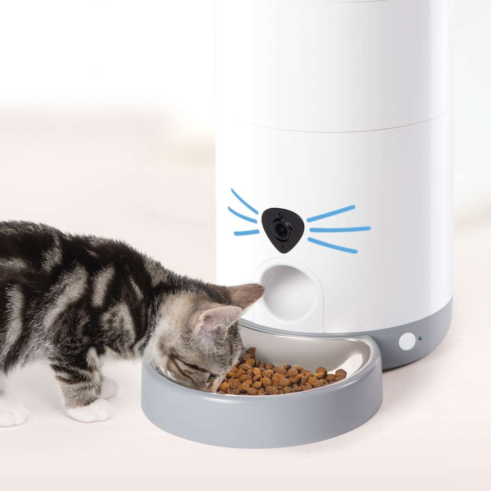 Un gatito atigrado come de un plato gris conectado a un comedero automático blanco.