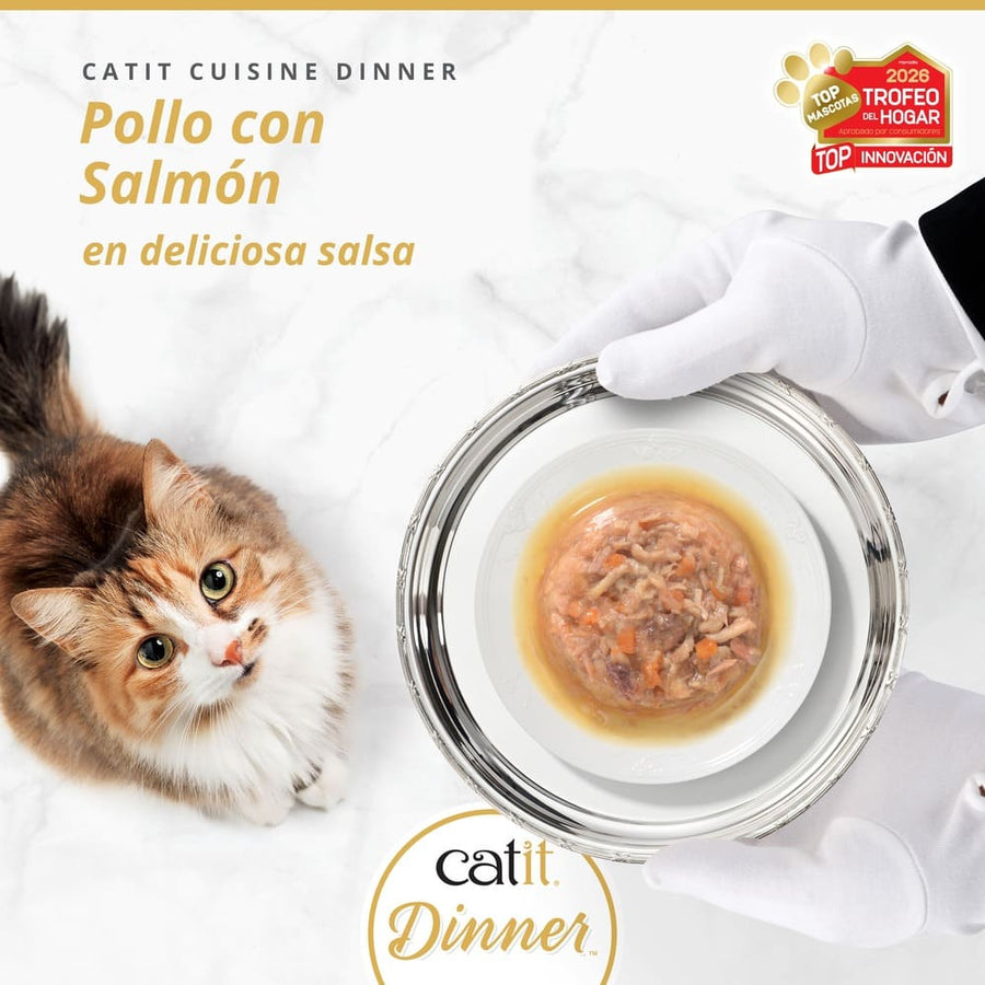 Un gato mira una bandeja de plata con comida para gatos sostenida por manos con guantes blancos.