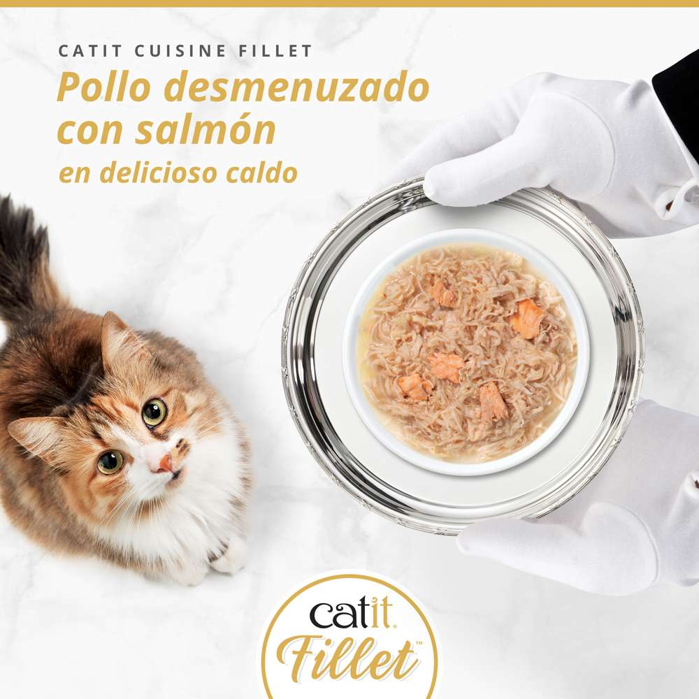 Una mano enguantada sostiene una bandeja plateada con comida para gatos. A la izquierda, un gato mira hacia arriba.