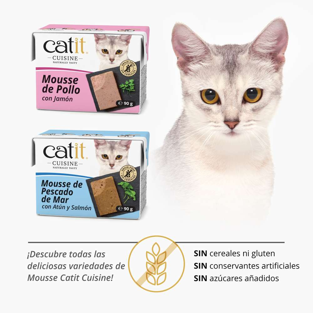 Un gato gris, dos cajas de mousse Catit Cuisine y texto sin cereales sobre fondo blanco.