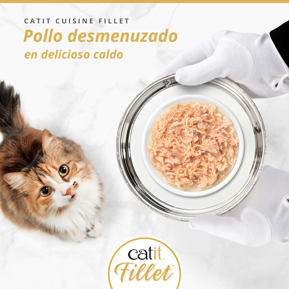 Un gato mira una bandeja plateada con comida para gatos en caldo de pollo.
