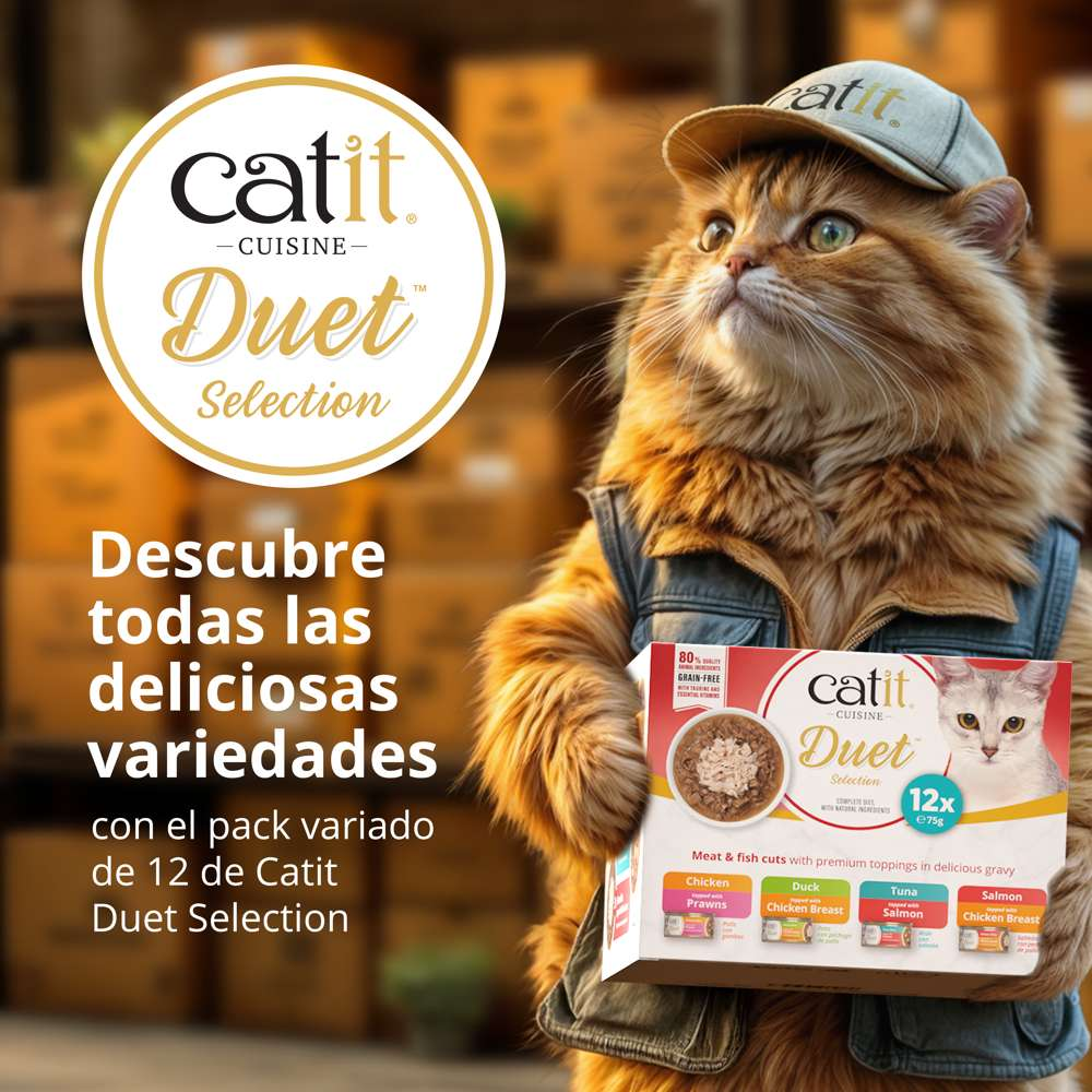 Un gato naranja antropomórfico con gorra y chaleco sostiene una caja de comida Catit Duet.