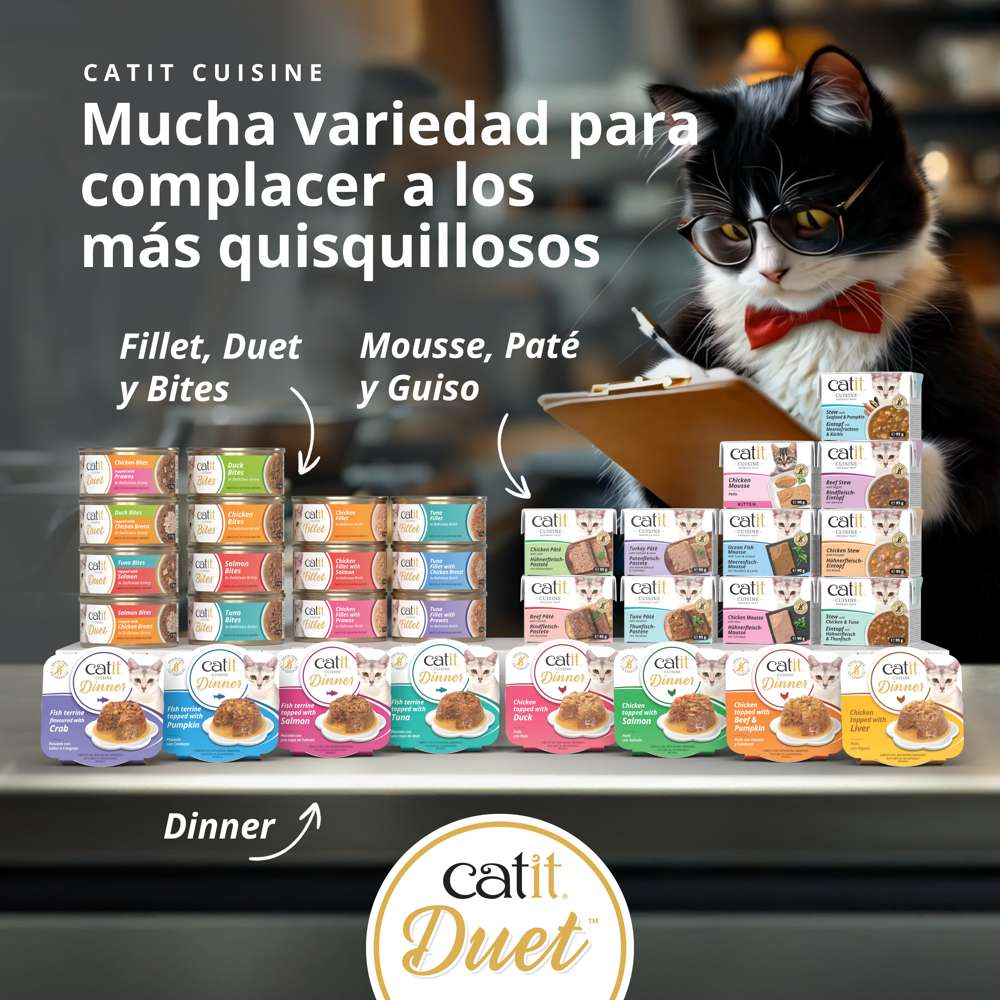 Un gato con gafas y pajarita roja mira cajas de comida para gatos Catit expuestas en la mesa.