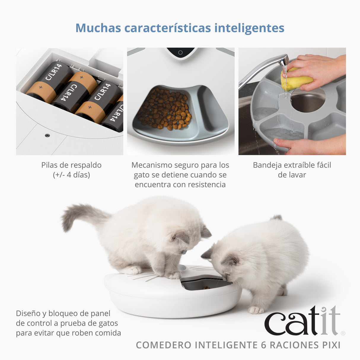 Infografía que muestra las características de un comedero para gatos.