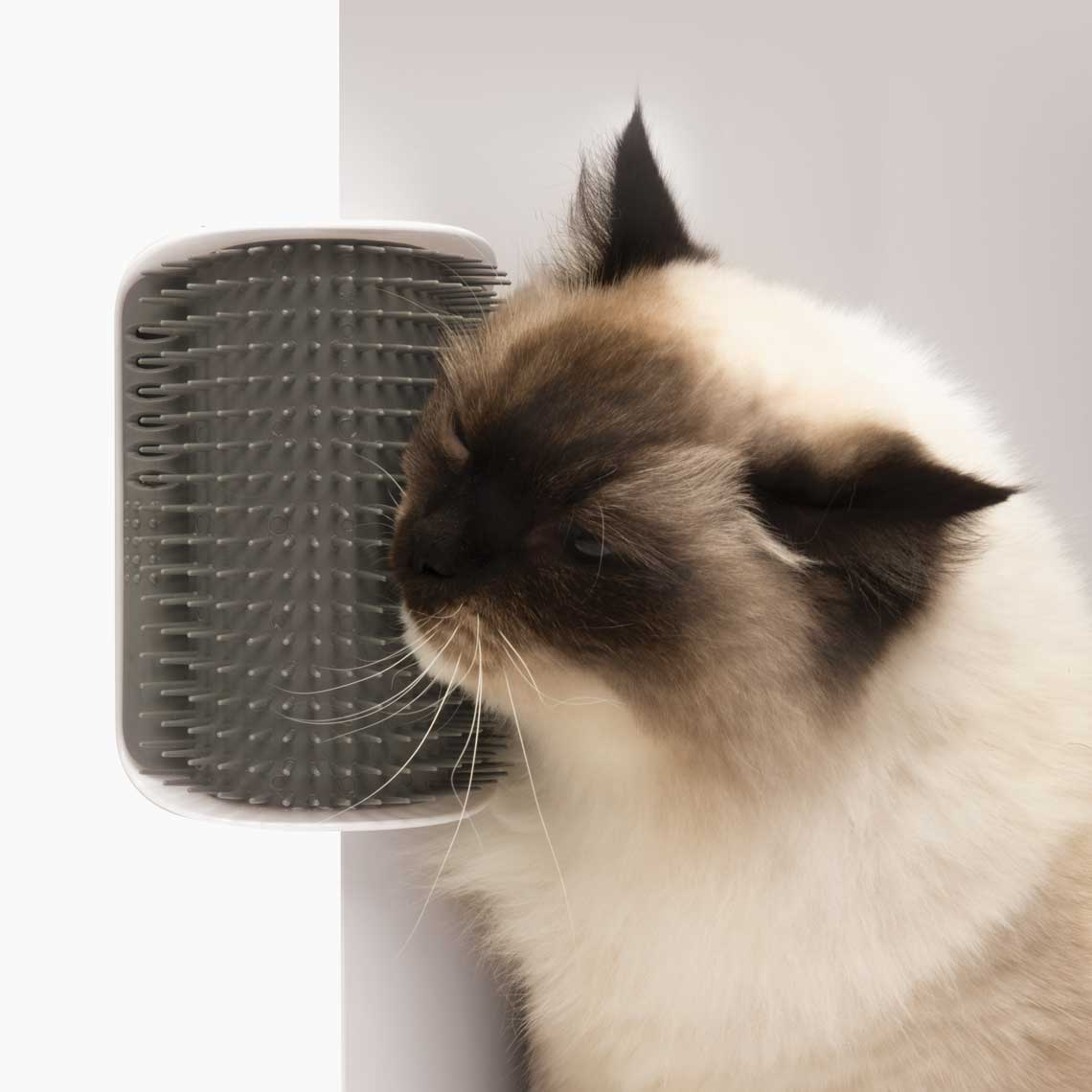 Un gato se frota felizmente contra un cepillo gris colocado en una esquina de la pared.