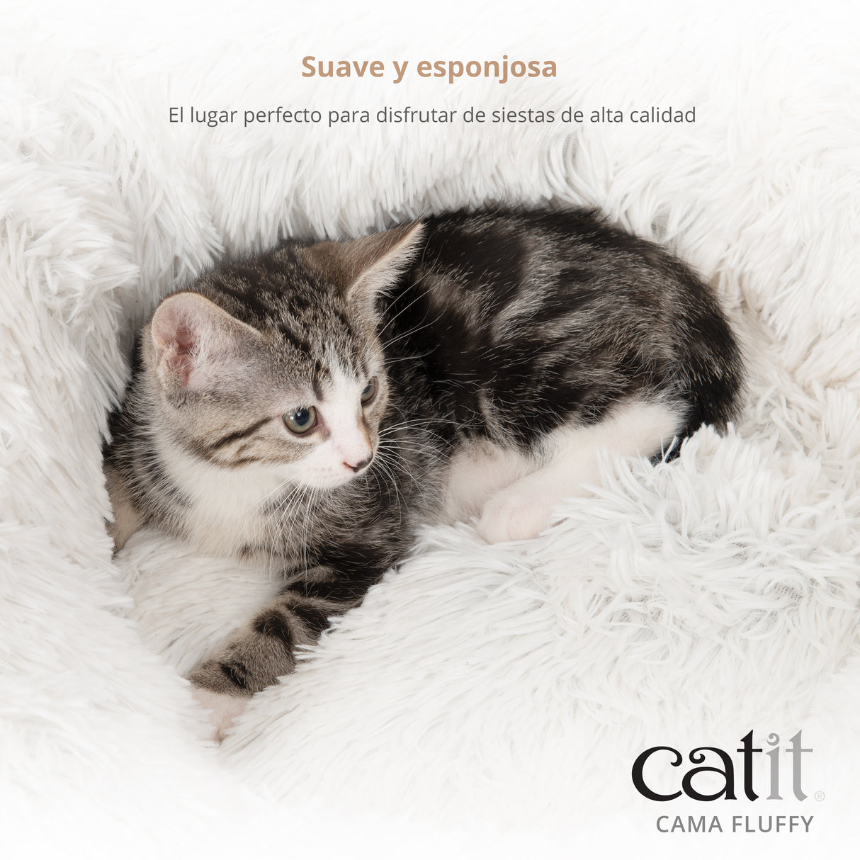 Un pequeño gatito atigrado descansa en una cama blanca y esponjosa, con texto promocional y el logotipo de Catit.
