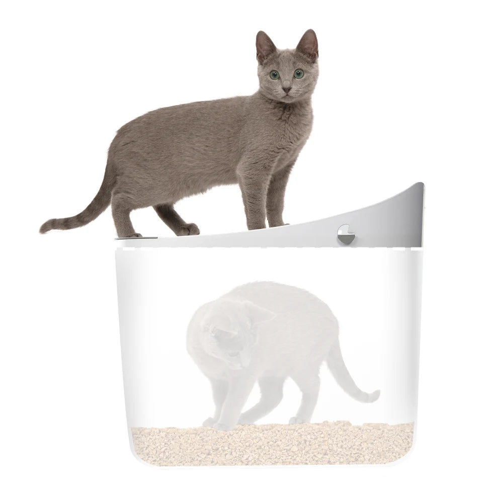 Un gato gris está sobre un arenero blanco, con una vista translúcida de un gato usando la arena dentro.