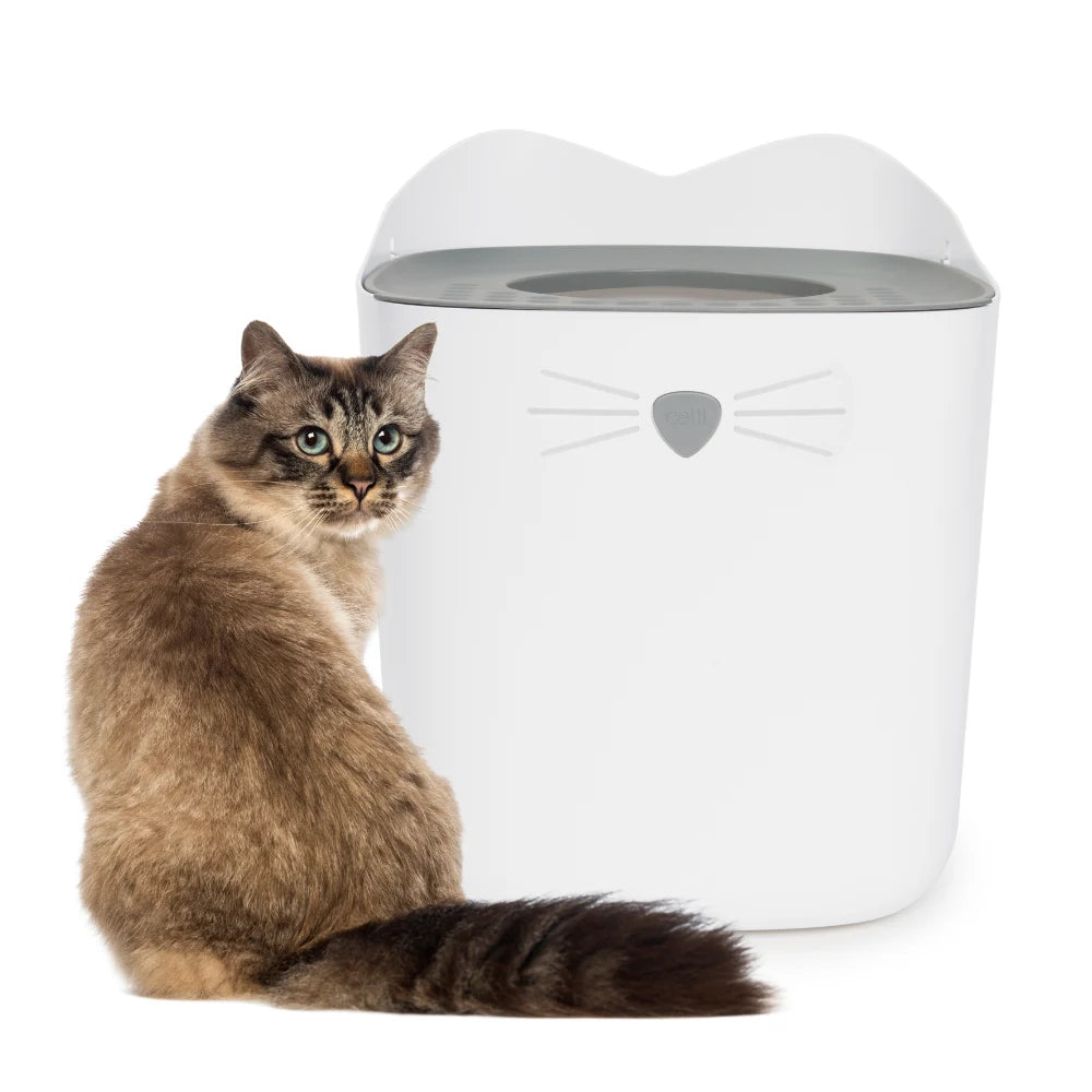 Un gato atigrado marrón se sienta frente a un arenero blanco con forma de cara de gato.