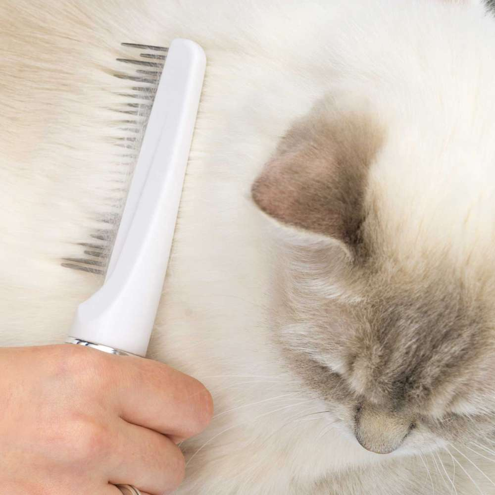 Una mano cepilla el pelaje blanco de un gato con un peine blanco.