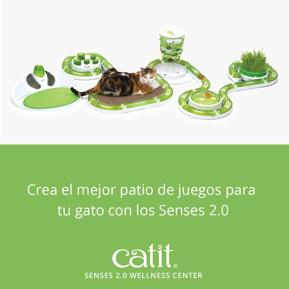 Un gato descansa relajado en un centro de bienestar Catit Senses 2.0 blanco y verde.