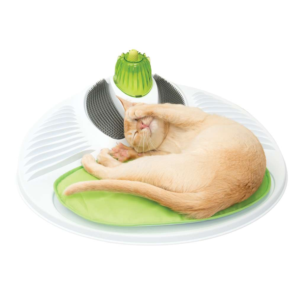 Un gato naranja duerme en una estera verde con cepillos de aseo sobre una base blanca.