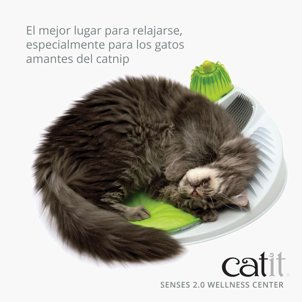 Un gato gris se relaja en un centro de bienestar redondo y blanco Catit Senses 2.0 con hierba gatera.