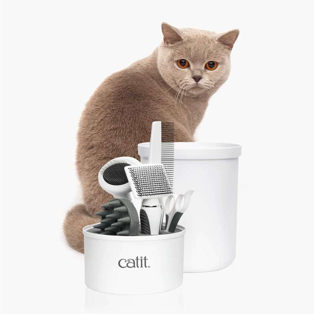 Un gato británico de pelo corto se sienta detrás de un kit de aseo catit en un recipiente.