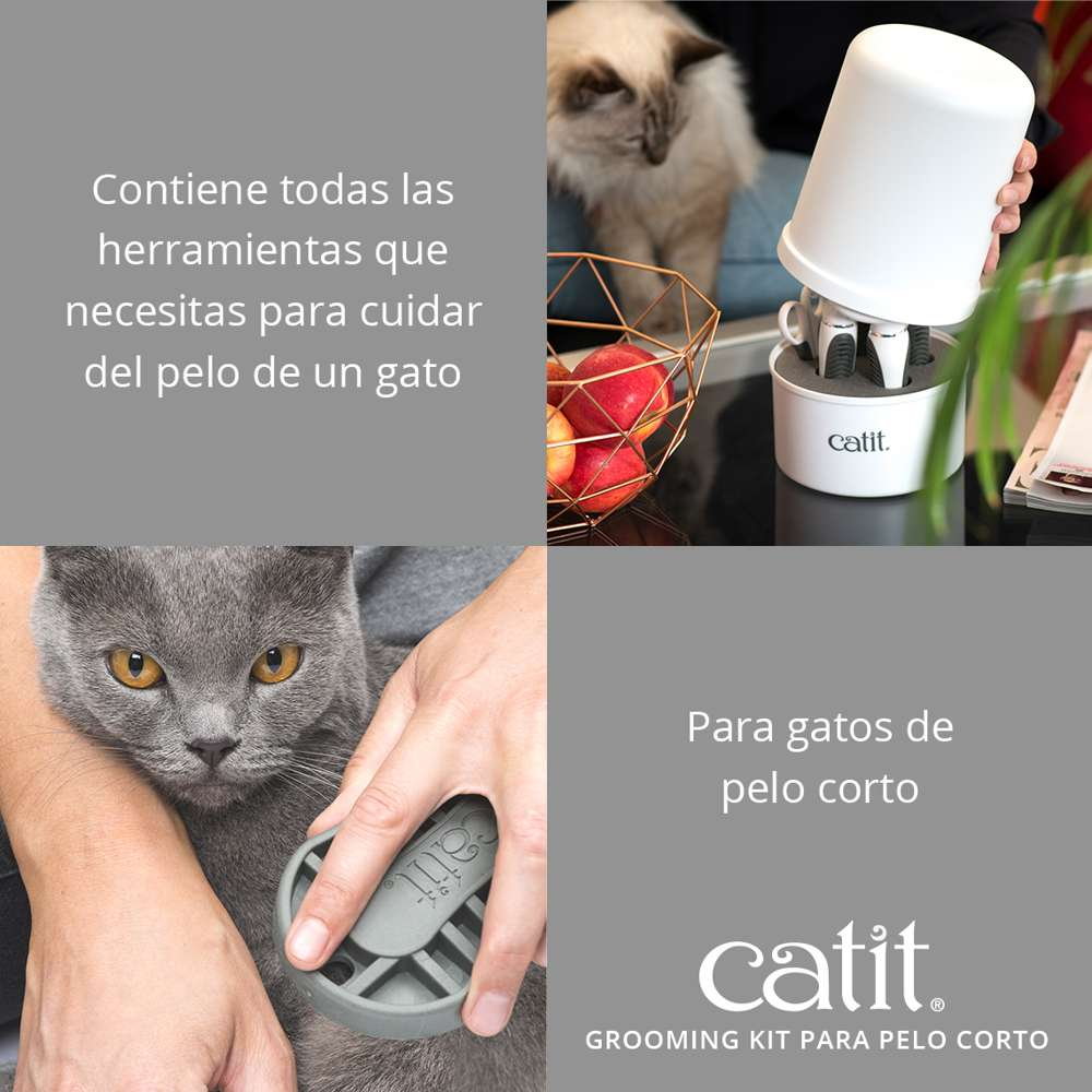 Kit de aseo para gatos de pelo corto con varios cepillos y texto en español.