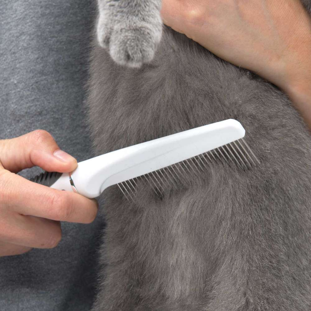 Una persona usa un peine blanco con dientes de metal para cepillar el pelaje gris y espeso de un gato.