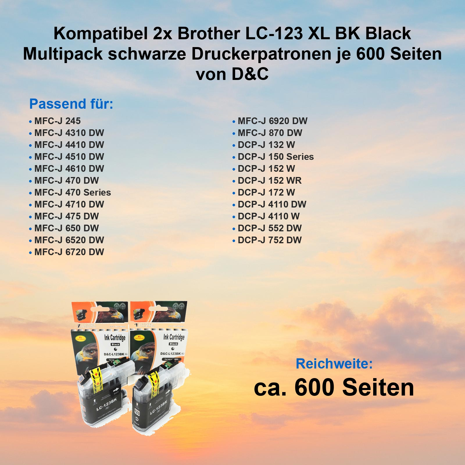 Zwei schwarze LC-123XL Tintenpatronen mit kompatiblen Druckermodellen und Himmelsmotiv im Hintergrund.