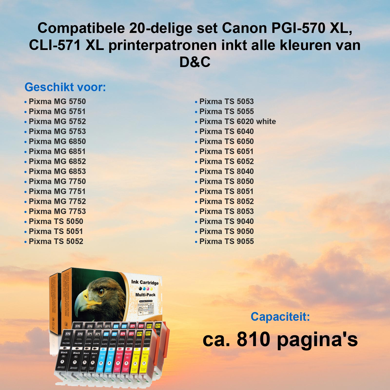 Werbebild für Canon PGI-570/CLI-571 Tintenpatronen mit kompatiblen Druckermodellen und einer 20-teiligen Packung.