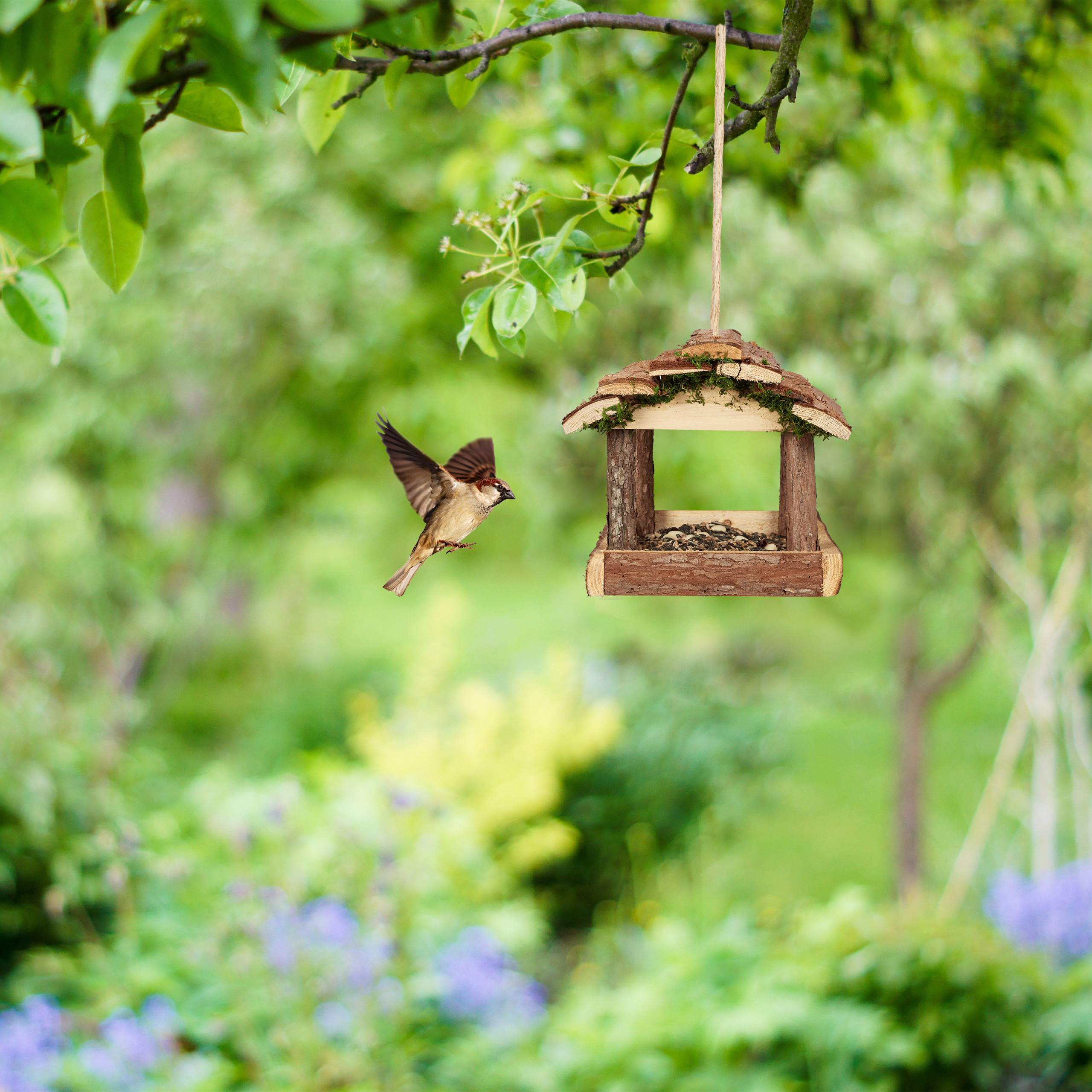 Ein Spatz fliegt auf ein hölzernes Vogelhäuschen in einem grünen Garten.