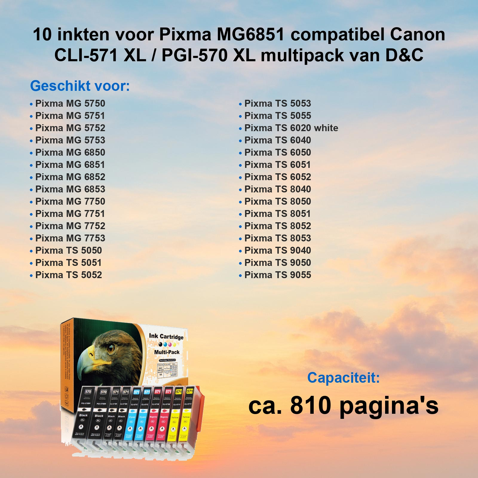 Werbung für D&C Tinten-Multipack für Canon Drucker mit Druckermodellen, Adlerschachtel und Patronen vor Sonnenuntergang.