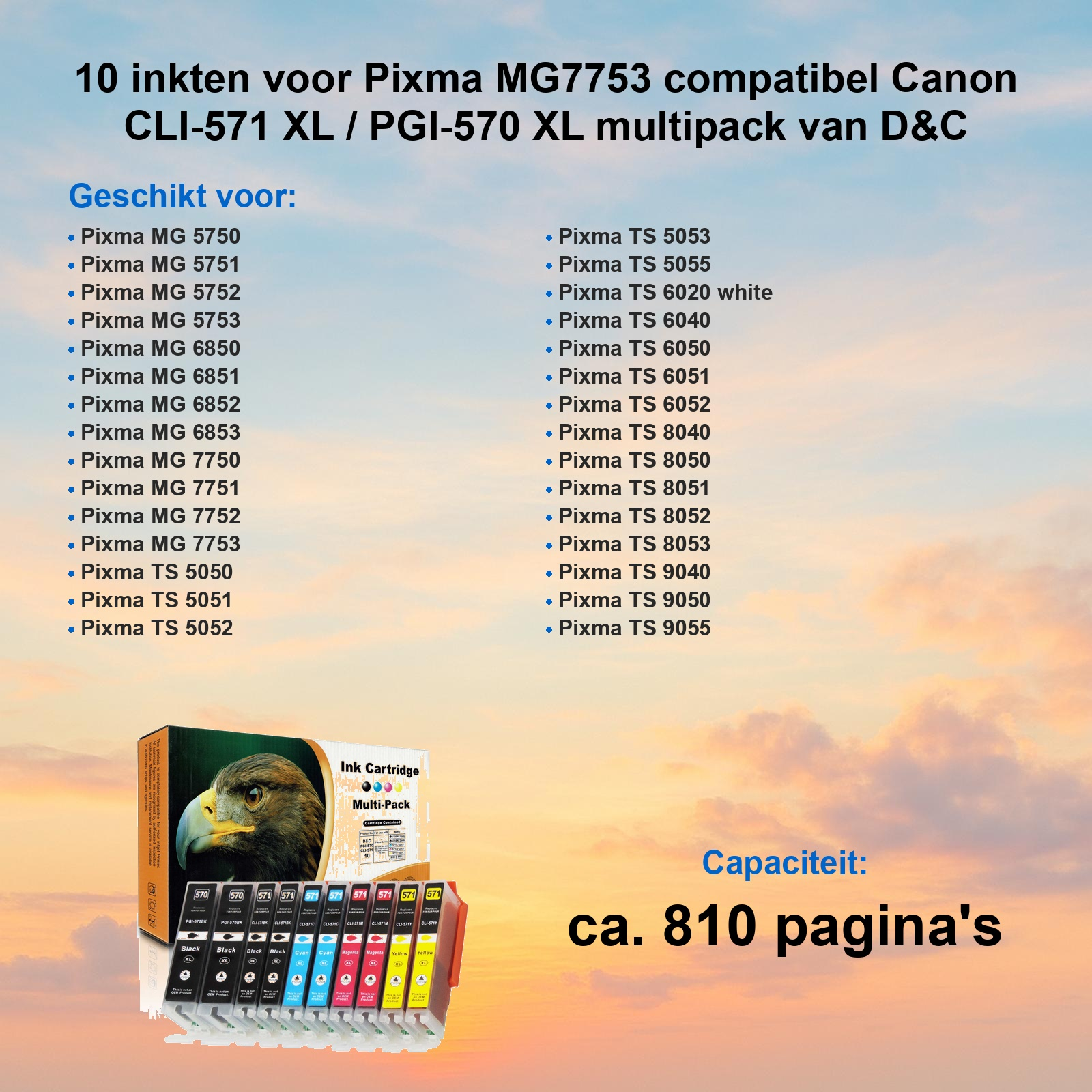 Werbebild für Canon-D&C-Tintenpatronen mit Druckerkompatibilitätsliste vor einem Sonnenuntergangshimmel.