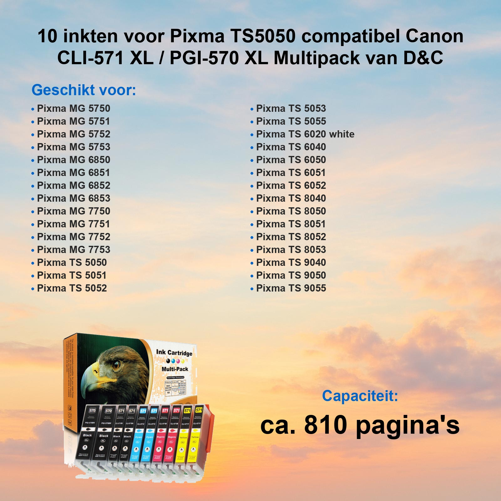 Tinten-Multipack mit zehn Patronen für Canon-Drucker vor Sonnenuntergangshimmel.