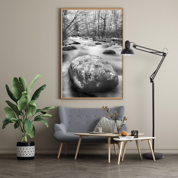 Una foto de naturaleza en blanco y negro cuelga sobre un sofá gris, junto a una planta y una lámpara.