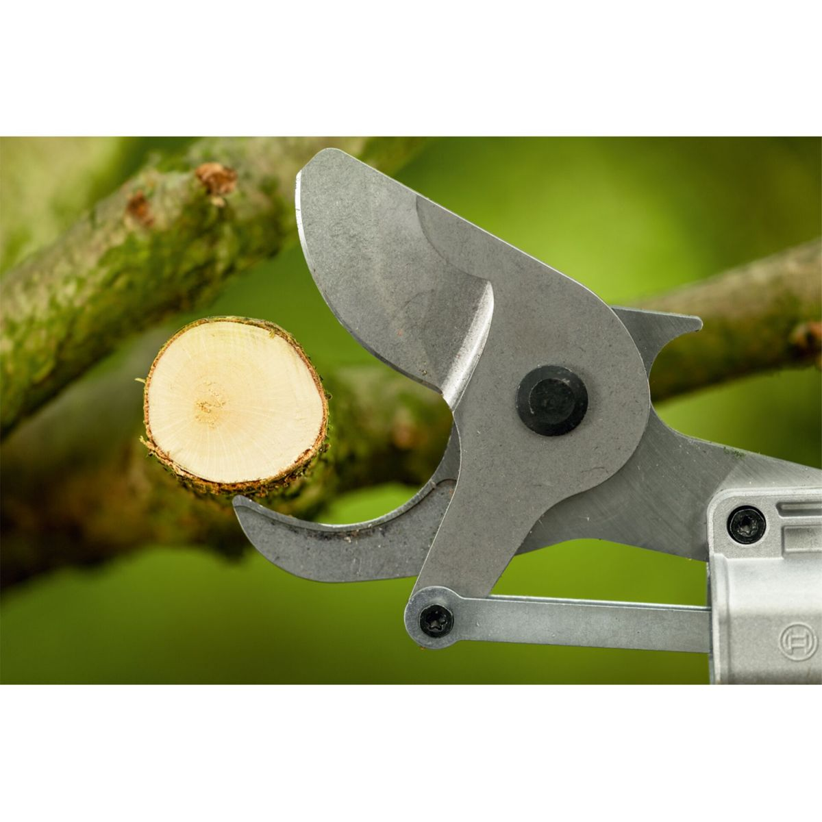 Metallschere beim Schneiden eines Holzastes im Garten.