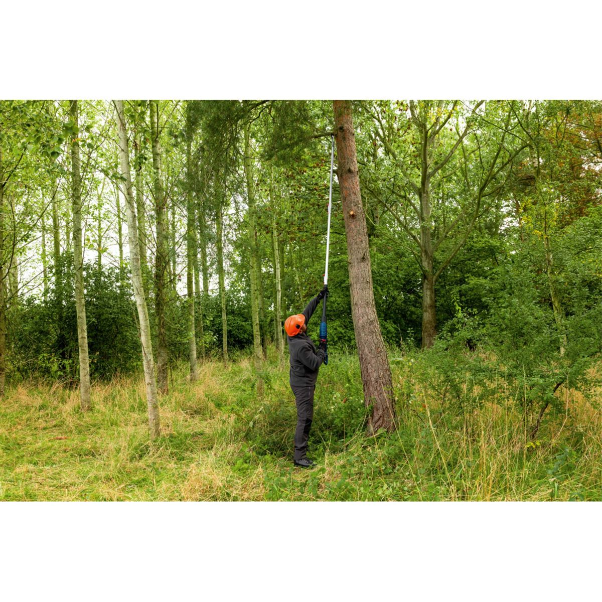 Ein Arbeiter in orangem Helm schneidet Baumäste mit einer Teleskopsäge im Wald ab.
