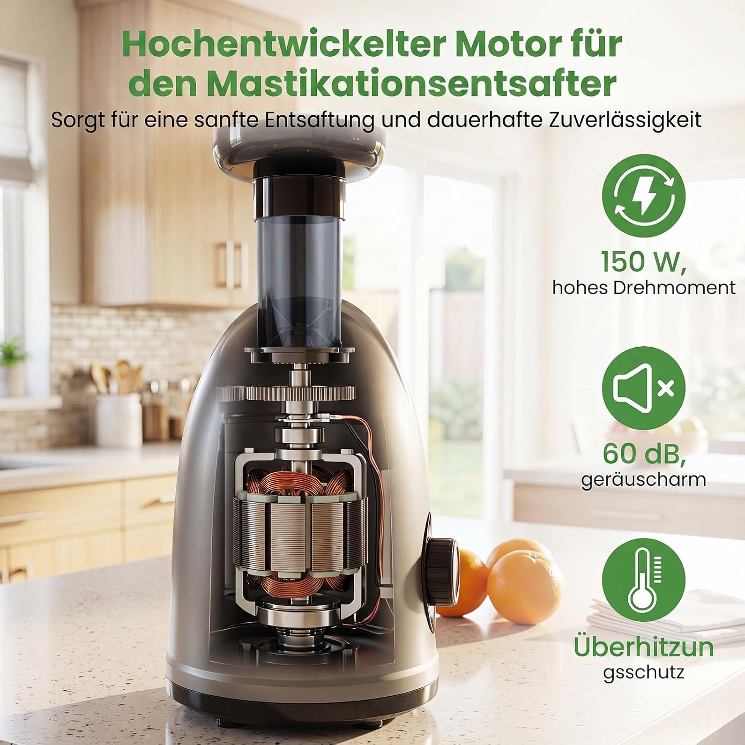 Schnittansicht eines Slow Juicers mit Blick auf den Motor, begleitet von erklärenden Symbolen und Texten an der Seite.