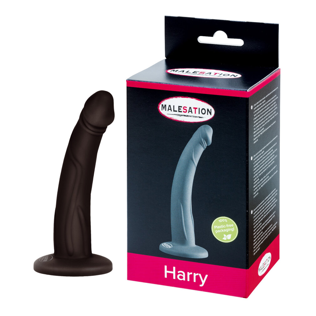 Ein schwarzer Dildo mit Standfuß steht neben seiner schwarz-pinken Verpackung mit der Aufschrift Harry.