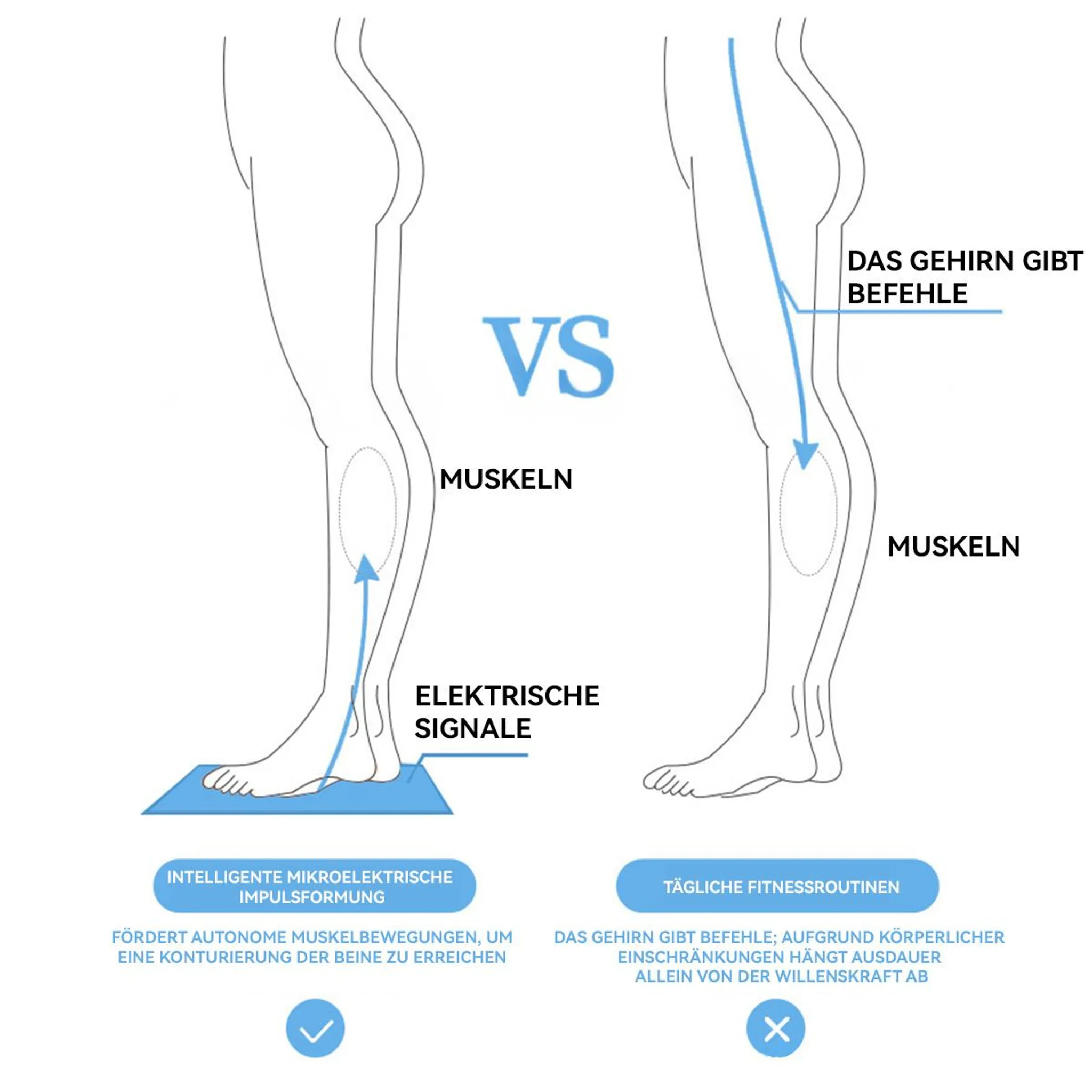 Vergleich von elektrischer Muskelstimulation und Gehirnbefehlen bei Beintraining mit Grafiken.