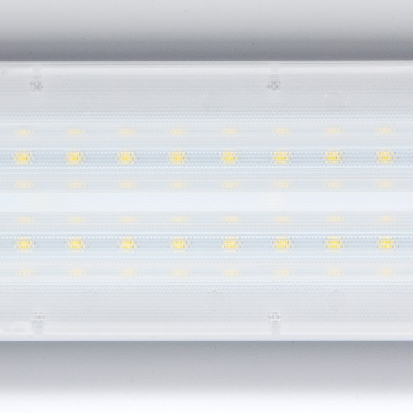 Un panel de luz LED blanco con filas de pequeños diodos brillantes amarillos y blancos detrás de un difusor texturizado.