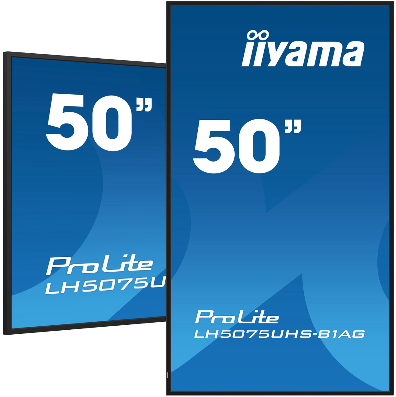 Zwei schwarz gerahmte iiyama ProLite Monitore mit blauen Bildschirmen und 50 Zoll Aufschrift.