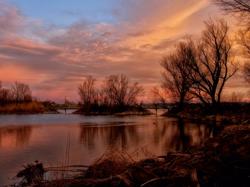 Ein ruhiger Fluss bei Sonnenuntergang mit kahlen Bäumen am Ufer und rosa-blauem Himmel.