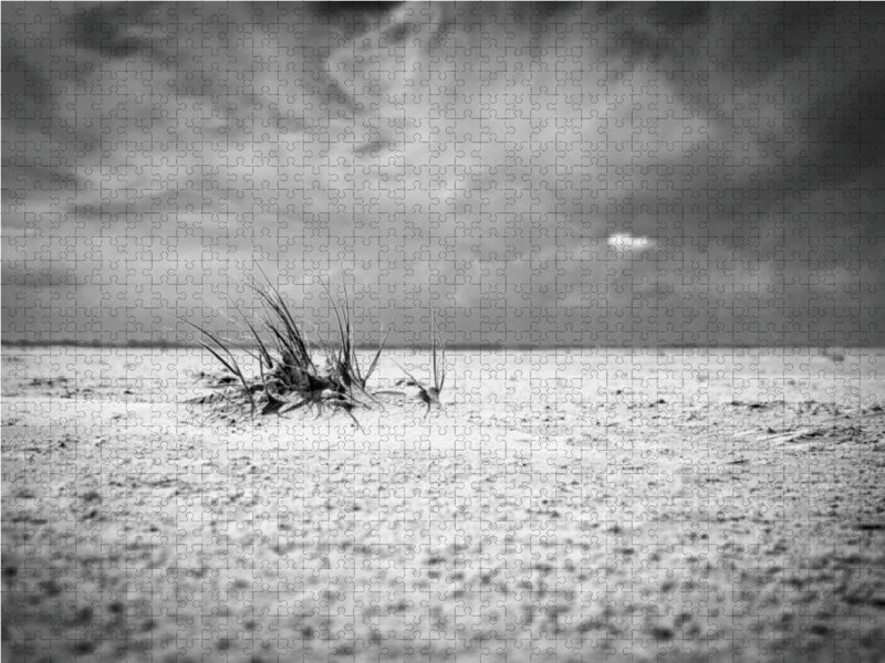 Schwarzweißfoto eines buschigen Grases in einer kargen Wüstenlandschaft unter einem bewölkten Himmel.