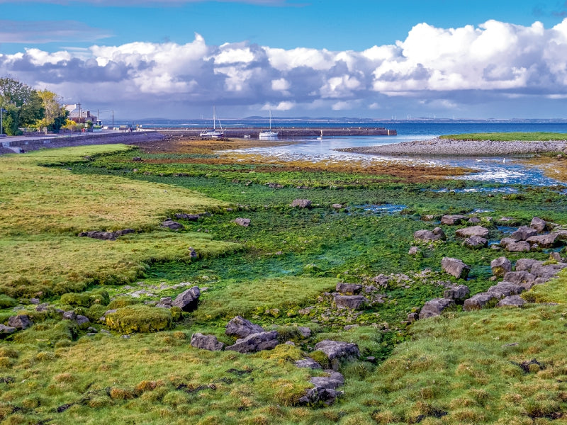 Grüne Algen und Felsen auf einer Küstenwiese vor blauem Meer mit Booten und Wolken.