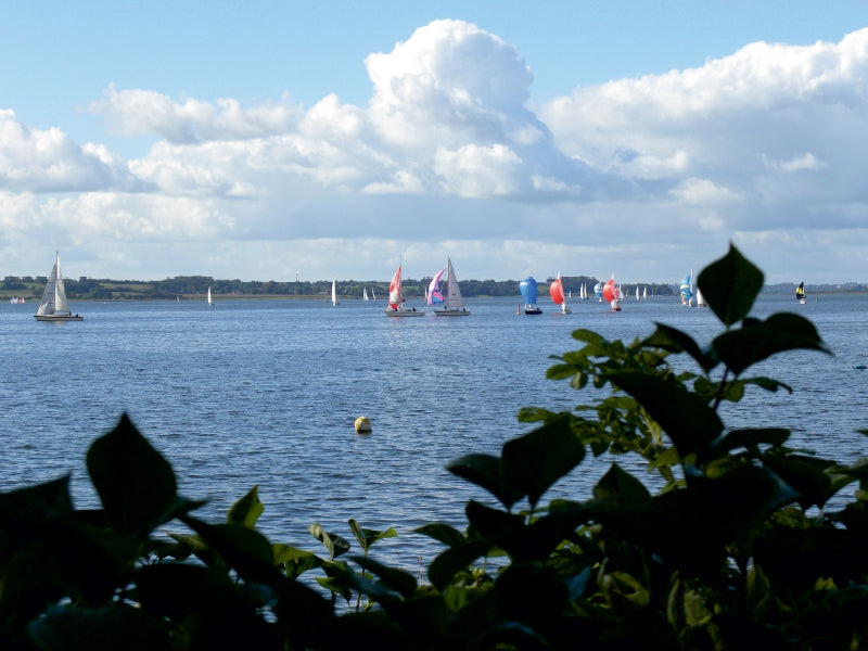 Segelboote auf einem ruhigen See unter blauem Himmel mit weißen Wolken, im Vordergrund grüne Blätter.
