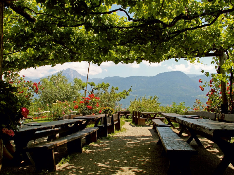 Holztische und -bänke unter einer Weinlaube mit Blick auf ferne Berge und einen Garten mit roten Blumen.
