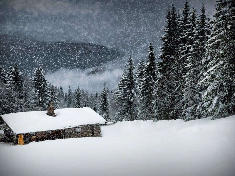 Eine schneebedeckte Hütte steht in einem Winterwald mit starkem Schneefall und Tannen im Hintergrund.