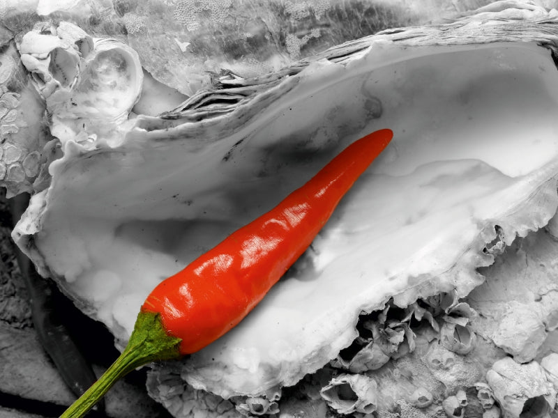 Eine rote Chilischote liegt in einer schwarz-weißen Austernschale.