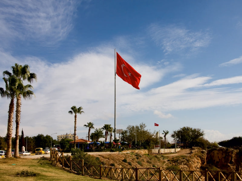 Eine türkische Flagge weht an einem hohen Mast vor blauem Himmel mit Wolken und Palmen.