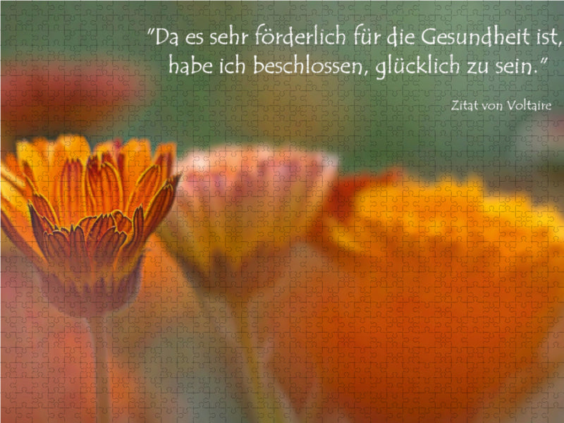 Orangerüschenblüten mit einem Voltaire-Zitat auf einem Puzzle-Hintergrund.