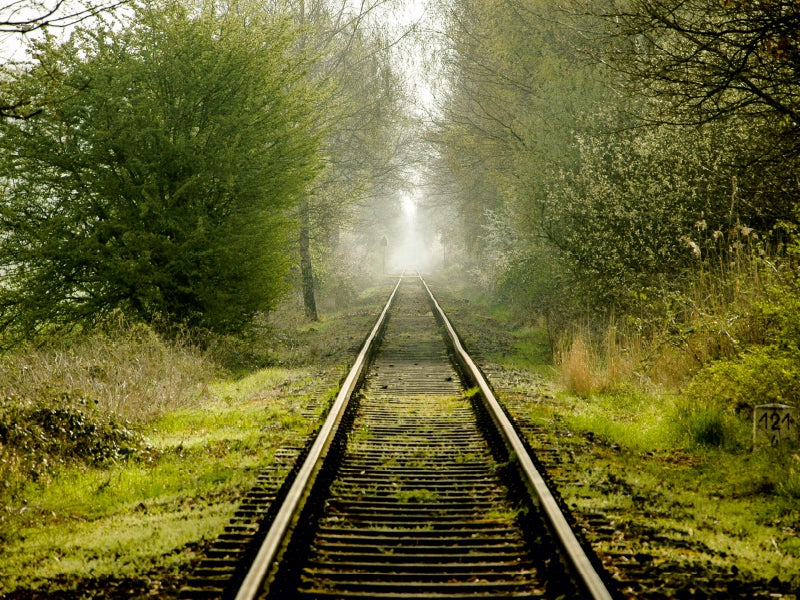 Gerade Eisenbahngleise führen durch einen nebligen, von üppigen grünen Bäumen und Büschen gesäumten Wald.