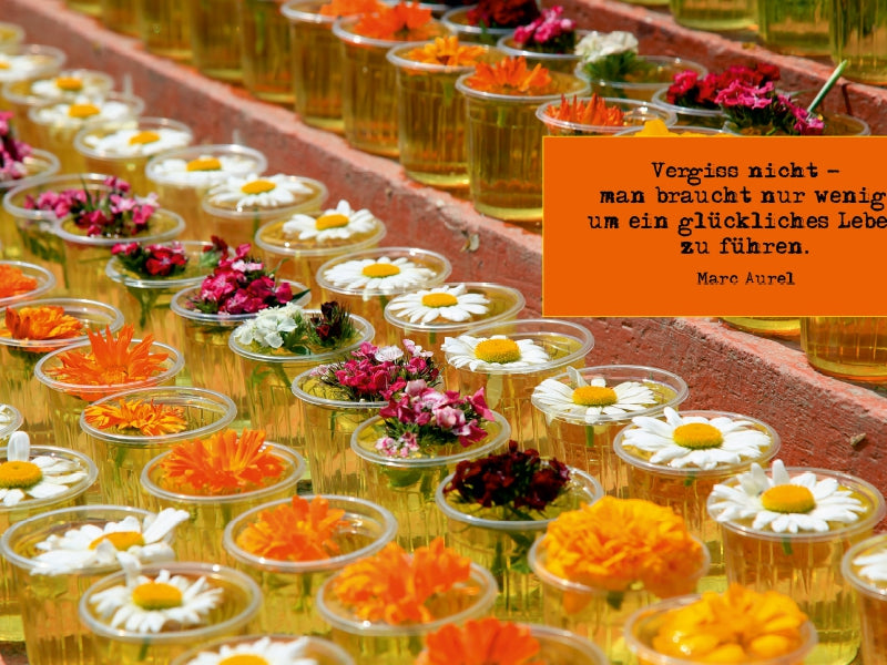Viele kleine Plastikbecher mit Wasser und bunten Blumen auf Stufen, neben einem orangen Zitatkasten.