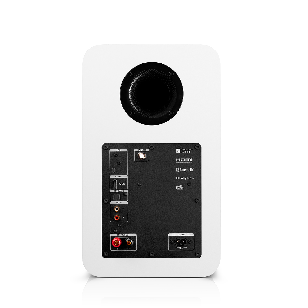 Rückseite eines weißen Lautsprechers mit Audio- und Stromanschlüssen sowie Logos auf weißem Hintergrund.