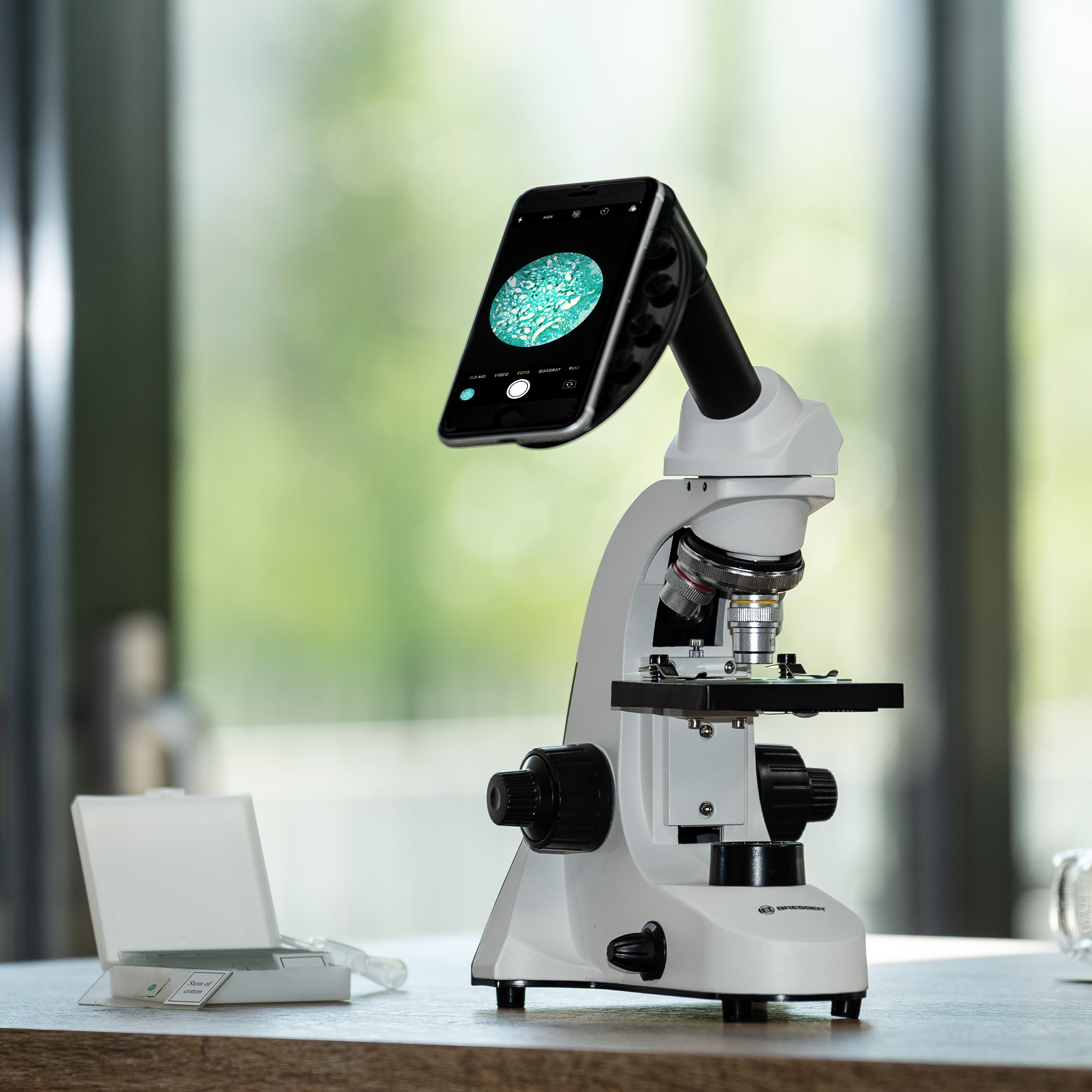 Un microscopio blanco en una mesa con un teléfono inteligente como ocular que muestra estructuras celulares verdes.