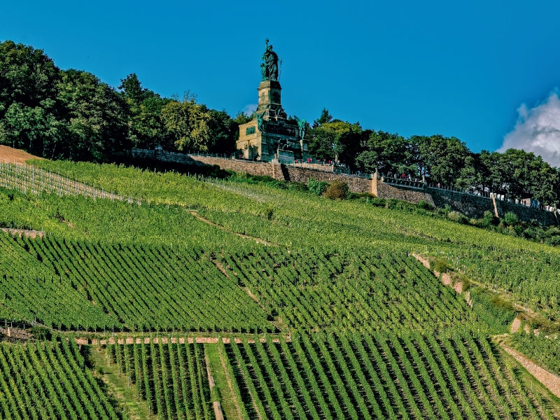 Grüne Weinberge erstrecken sich unter einem großen Denkmal und blauem Himmel auf einem Hügel.
