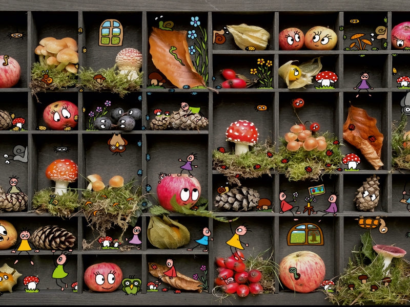 Holzregal mit Fächern gefüllt mit Naturgegenständen und kleinen Cartoon-Figuren.