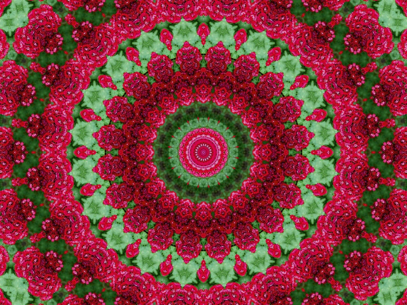 Symmetrisches kaleidoskopisches Muster aus roten Blumen und grünem Laub.