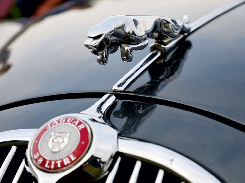 Chromfarbene Jaguar-Kühlerfigur auf der schwarzen Motorhaube eines Oldtimers mit rotem Markenlogo.
